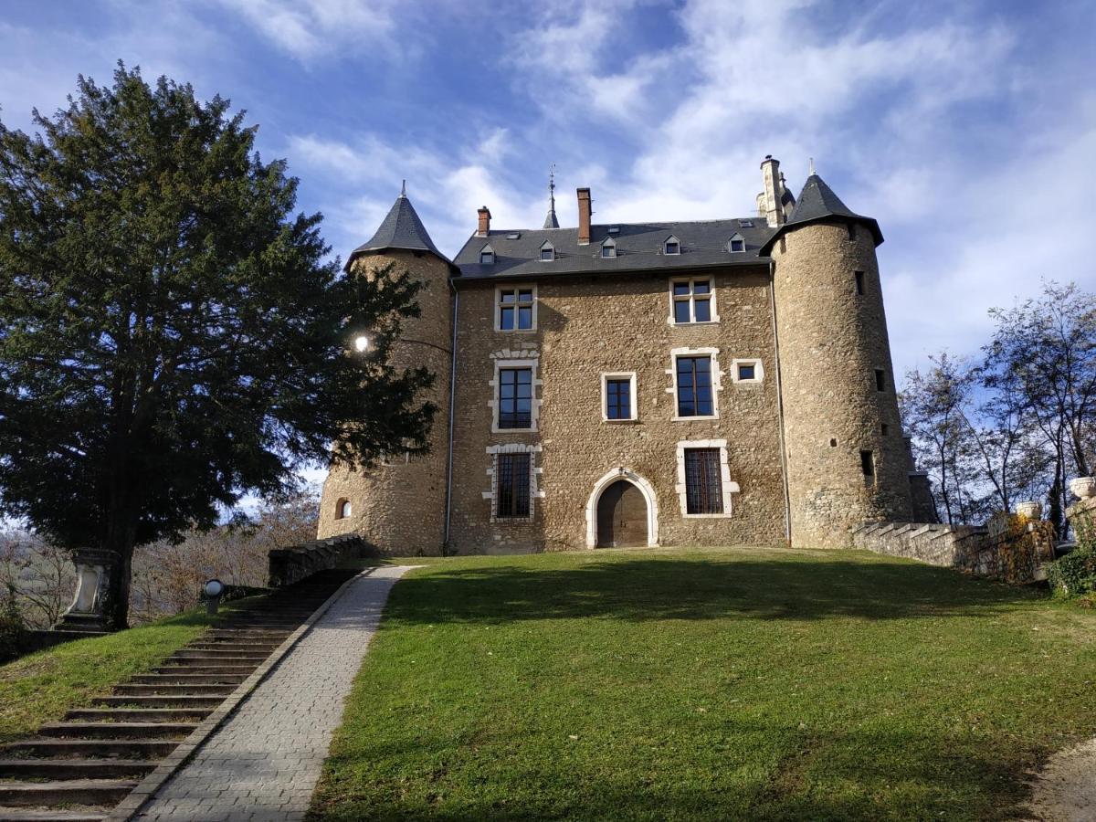 Appartement Chateau Uriage-Chamrousse Saint-Martin-dʼUriage Esterno foto