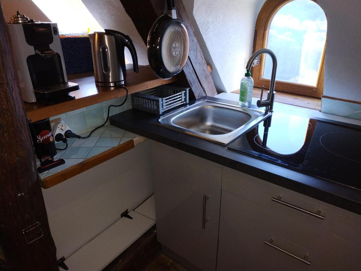 Appartement Chateau Uriage-Chamrousse Saint-Martin-dʼUriage Esterno foto